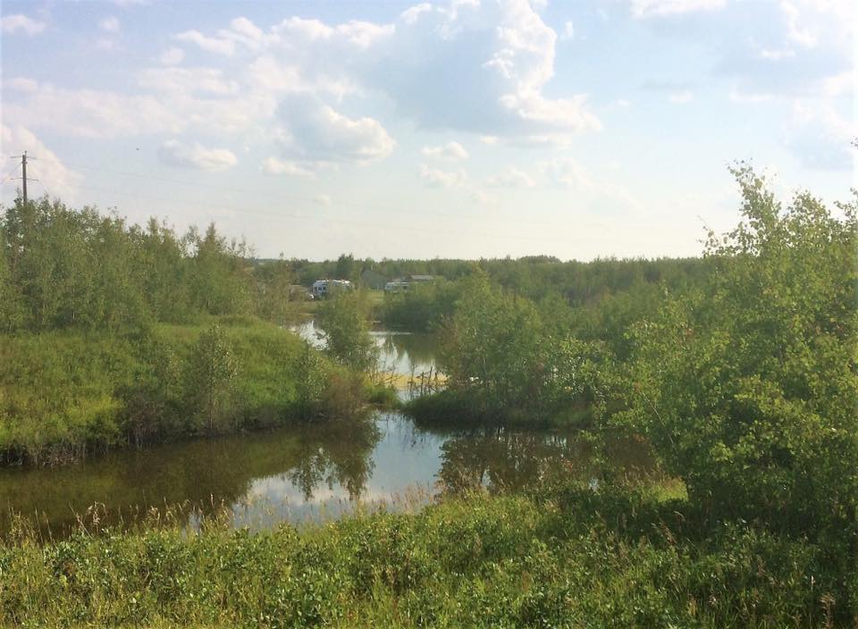 Buzzard Gulch Fisheries and RV Campground near Edmonton Alberta