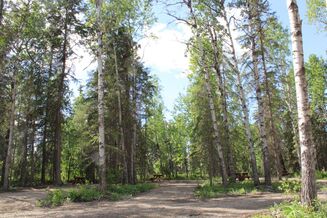 Entwistle RV Campground near Edmonton Alberta