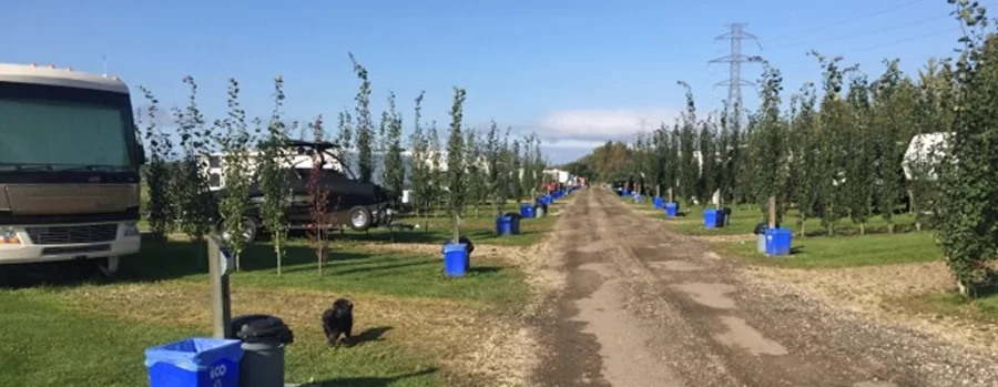 Wabamun Marina RV Park near Edmonton Alberta