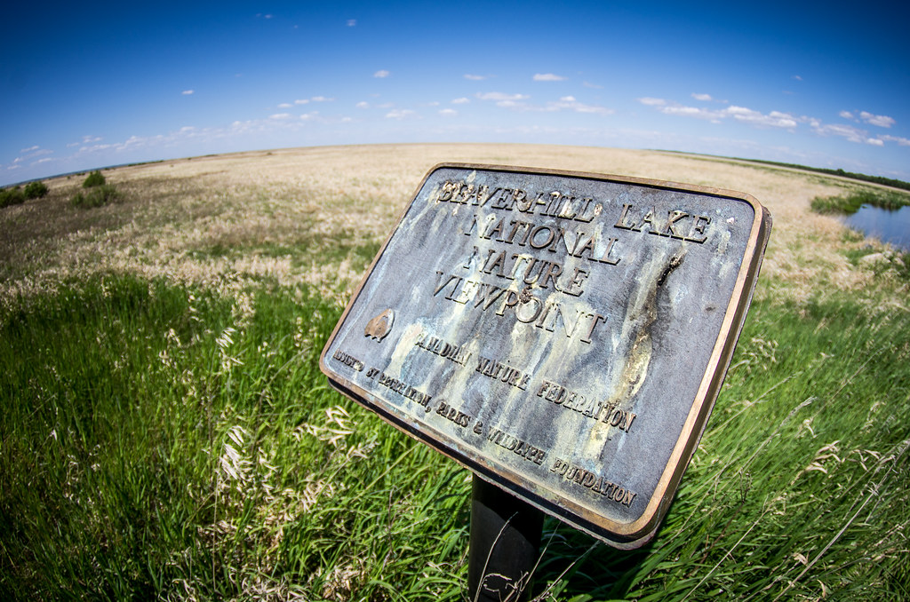 Beaverhill Natural Area near Edmonton Alberta